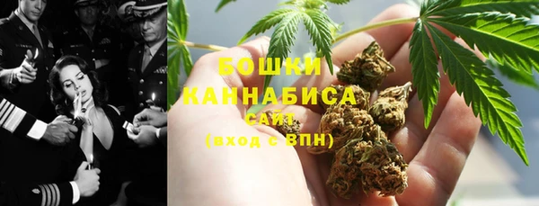 стаф Горняк