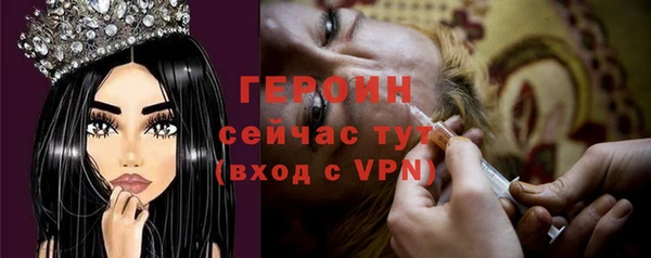 прущие грибы Горно-Алтайск