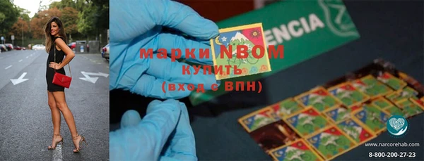 прущие грибы Горно-Алтайск