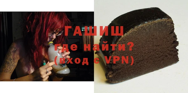 прущие грибы Горно-Алтайск