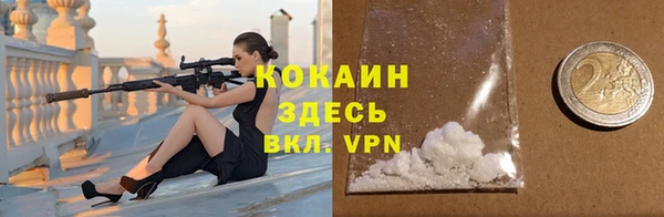 стаф Горняк