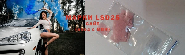 прущие грибы Горно-Алтайск