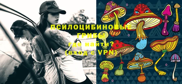 стаф Горняк