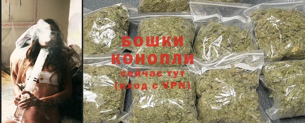 прущие грибы Горно-Алтайск