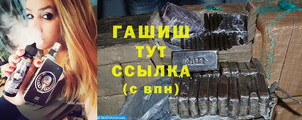 стаф Горняк