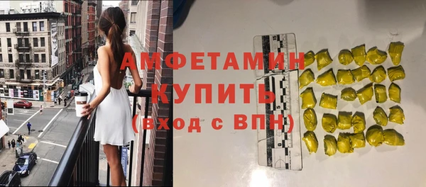 стаф Горняк