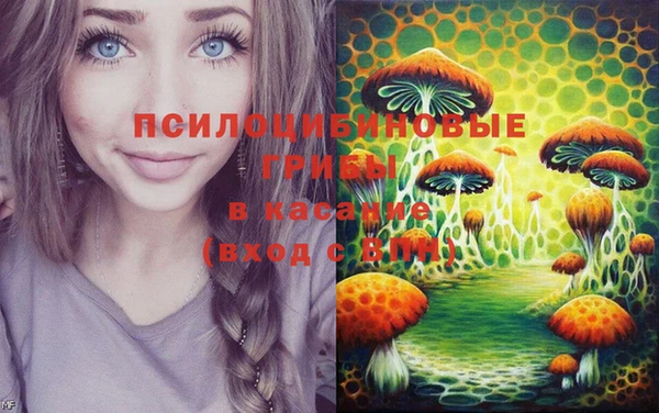 прущие грибы Горно-Алтайск