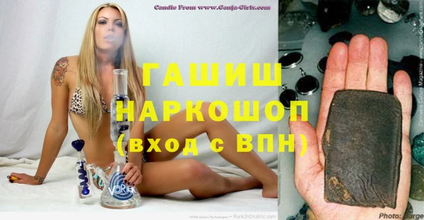 стаф Горняк