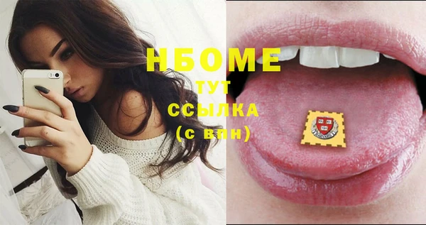 стаф Горняк