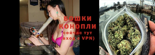 прущие грибы Горно-Алтайск